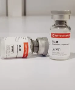 SS-31